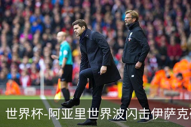 世界杯-阿亚里世界波闪击伊萨克破门 半场瑞典2-1突尼斯